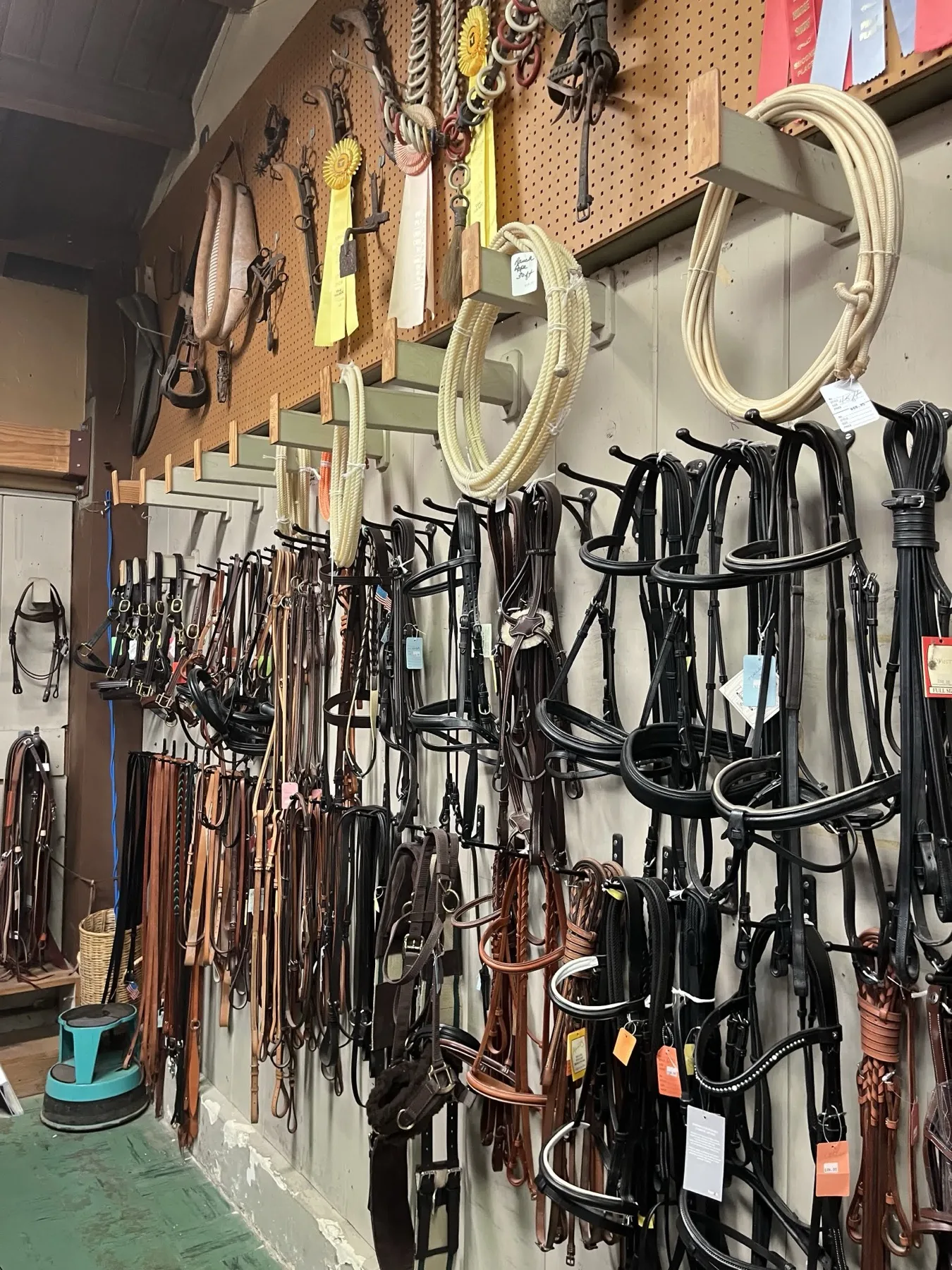 Wall of bridles, reins and ropes inside the tack section