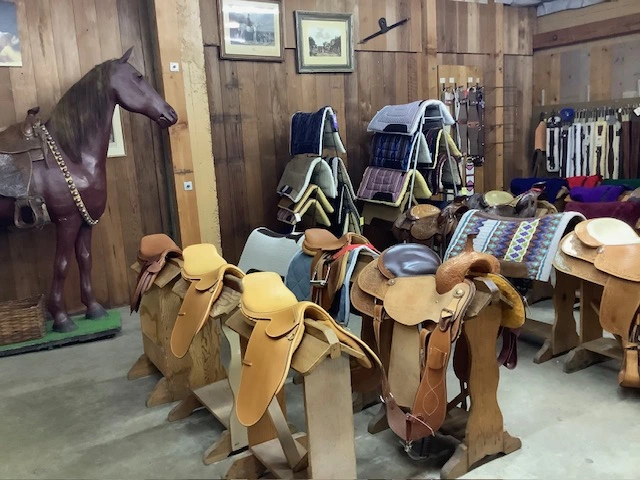 English and Western saddles on display